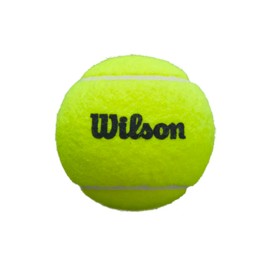wilson premier padel balls